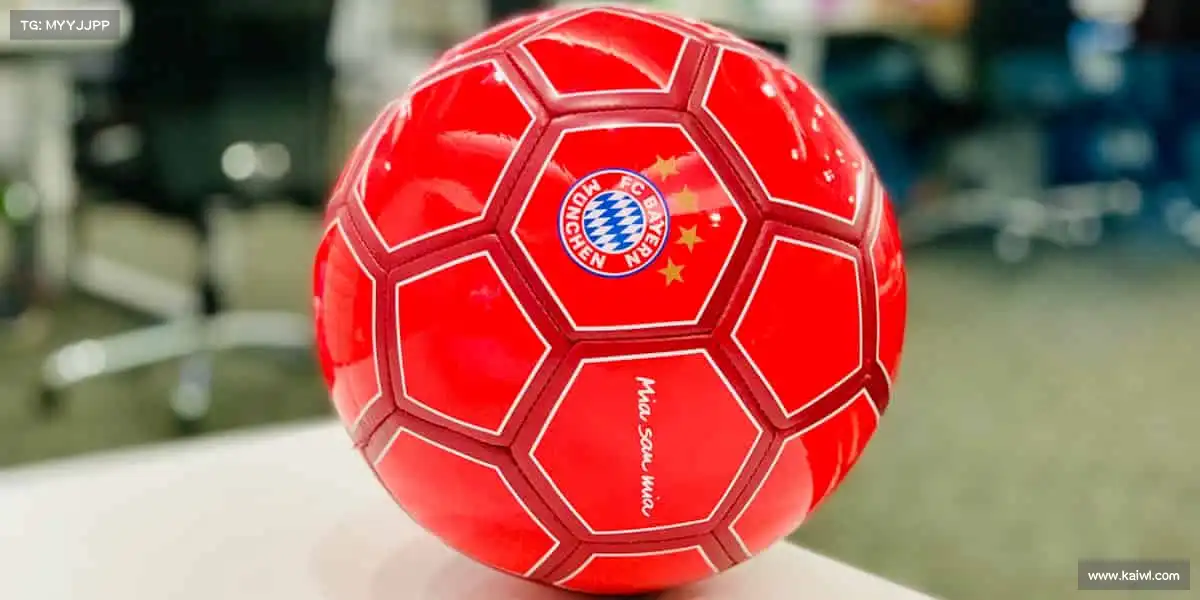 FIFA2026世界杯官网——🏆体育精神，永不止步！